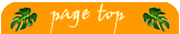 このページの先頭へ
